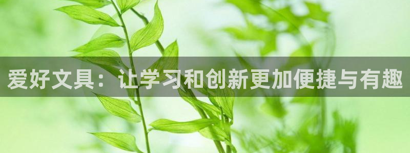 龙八国际娱乐预约：爱好文具：让学习和创新