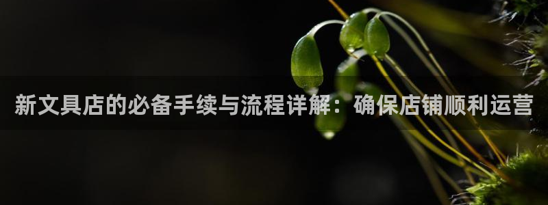 龙八国际客服端登录：新文具店的必备手续与