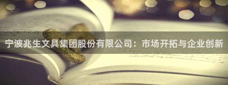 龙八国际技巧：宁波兆生文具集团股份有限公