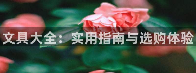 龙八国际头号玩家