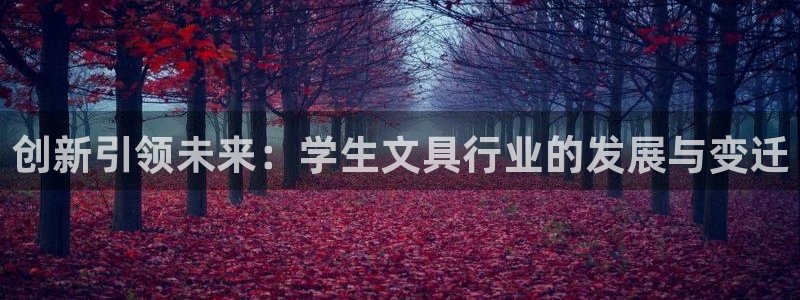 不会玩龙八国际：创新引领未来：学生文具行