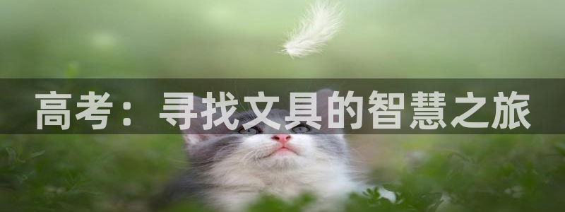龙八国际娱乐城：高考：寻找文具的智慧之旅