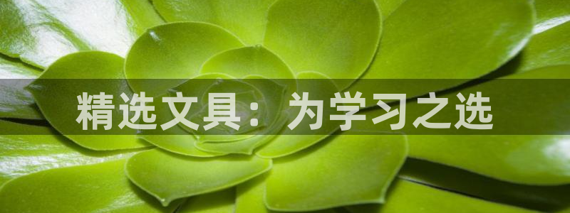 龙八国际网站全网：精选文具：为学习之选