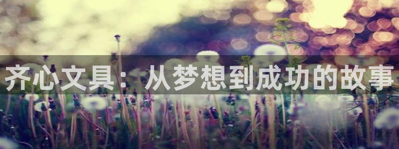 龙八国际手机版入口官网：齐心文具：从梦想