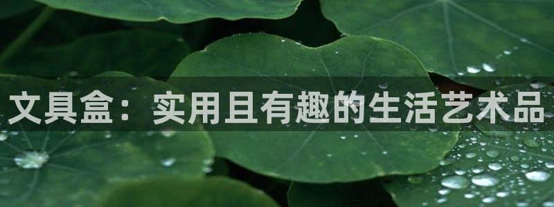 龙八国际手机版入口官网：文具盒：实用且有