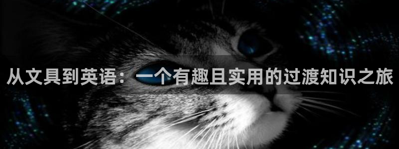 龙八国际官方网站：从文具到英语：一个有趣