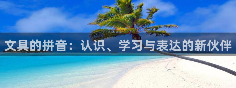 龙八国际集团有限公司：文具的拼音：认识、
