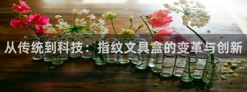 龙八国际客户端下载：从传统到科技：指纹文