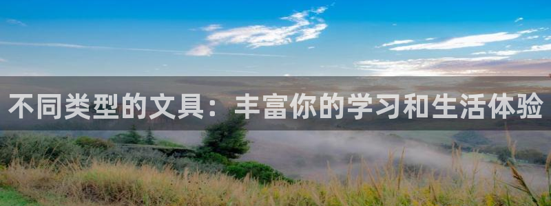 龙八国际手机端官网：不同类型的文具：丰富