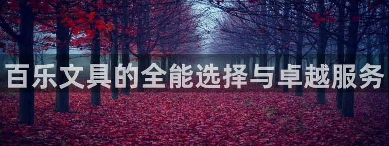 龙八国际娱乐中心：百乐文具的全能选择与卓