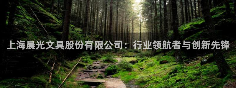 龙八国际官网下载安卓：上海晨光文具股份有