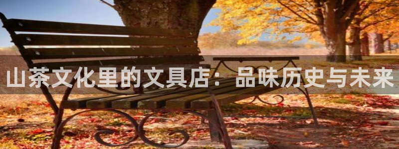 龙八国际 我的：山茶文化里的文具店：品味