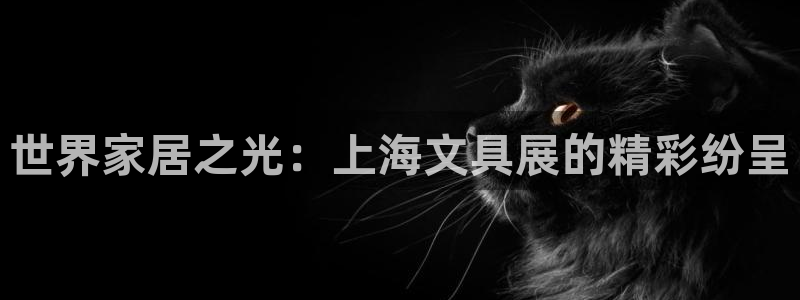 龙八国际可b48点tv：世界家居之光：上