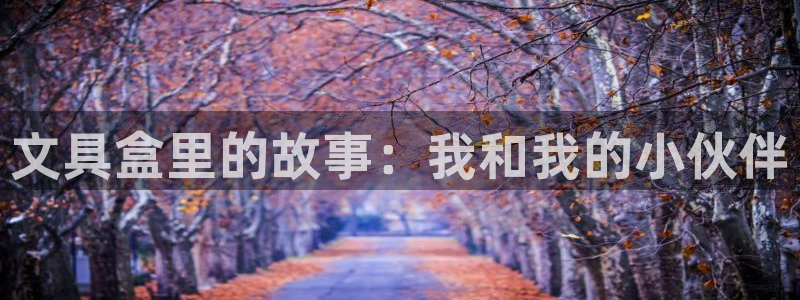 龙八国际娱乐实力如何：文具盒里的故事：我