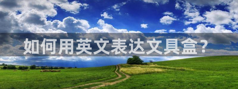 龙八国际服官网下载安卓：如何用英文表达文