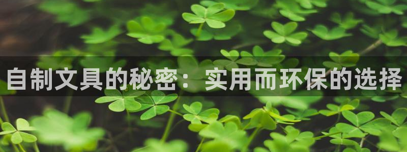 龙八国际服：自制文具的秘密：实用而环保的