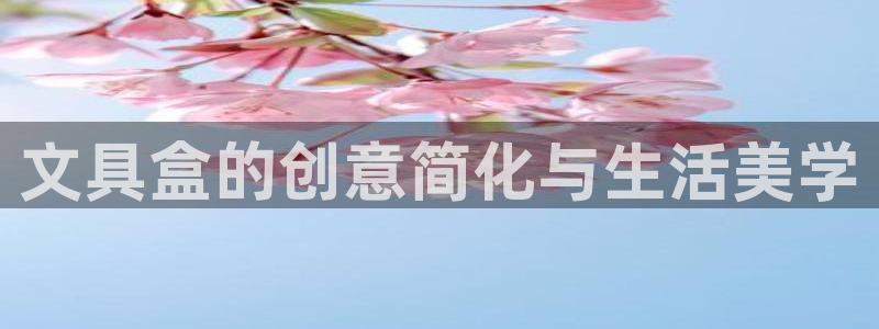 官网龙八国际：文具盒的创意简化与生活美学