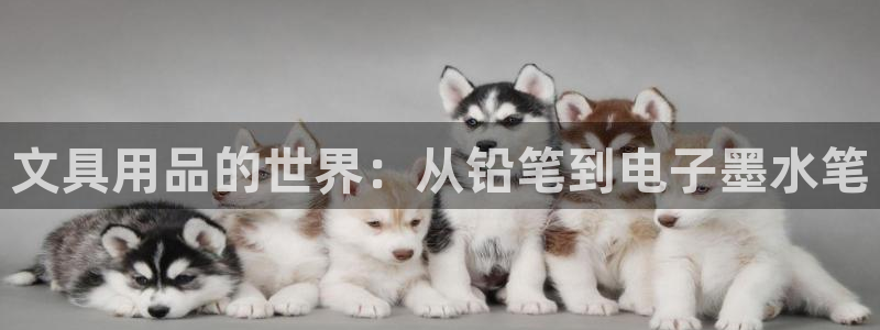 龙八国际娱乐预约：文具用品的世界：从铅笔