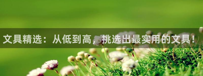 龙八国际客户端下载平台：文具精选：从低到