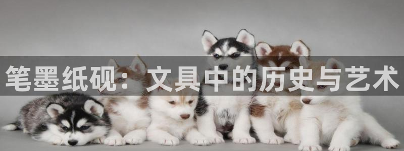 龙八国际网b48点tv：笔墨纸砚：文具中