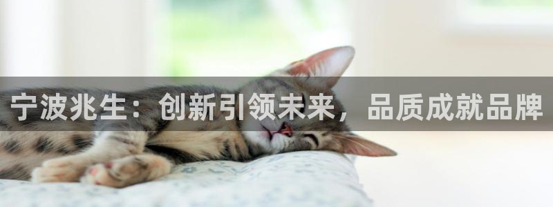 龙八国际下载链接：宁波兆生：创新引领未来