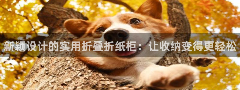 龙八国际游戏登录：新颖设计的实用折叠折纸