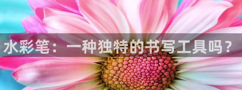 龙八国际兑换码：水彩笔：一种独特的书写工