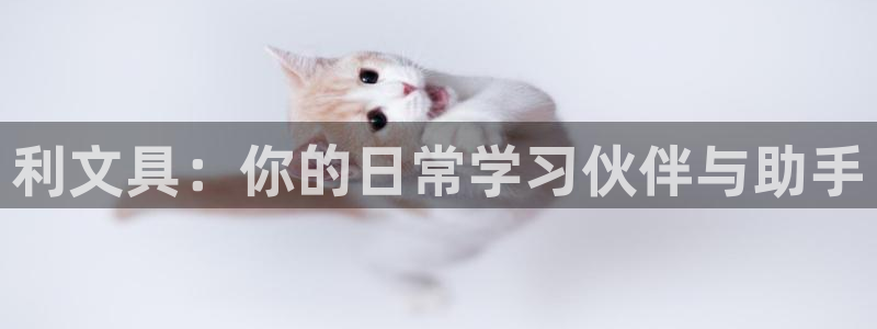 龙八国际网：利文具：你的日常学习伙伴与助