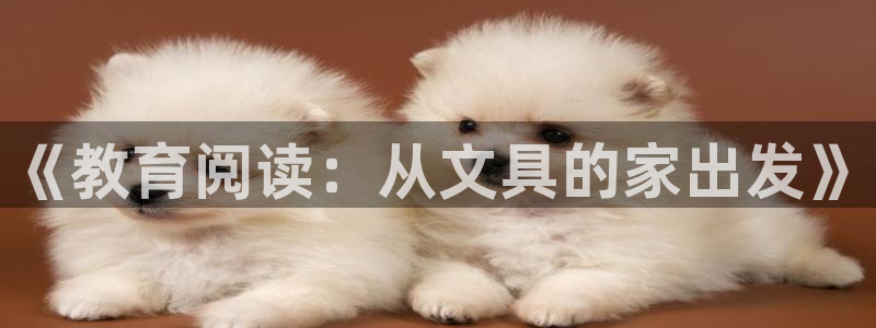 龙八国际手机版登录首页：《教育阅读：从文