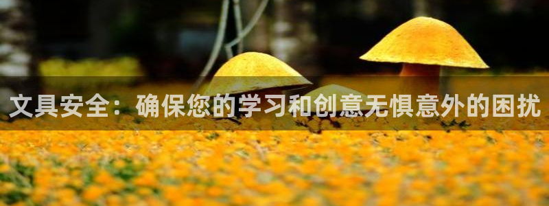 龙八国际娱乐网页多少：文具安全：确保您的