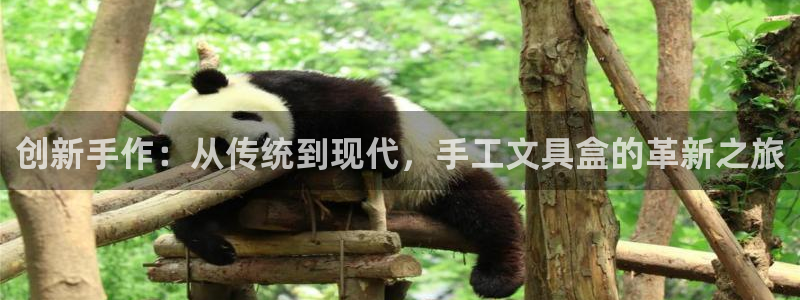 龙八国际棋牌官方网站：创新手作：从传统到