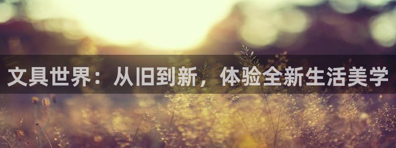 石家庄龙八国际老板是谁：文具世界：从旧到