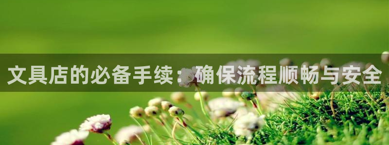 石家庄龙八国际老板是谁：文具店的必备手续