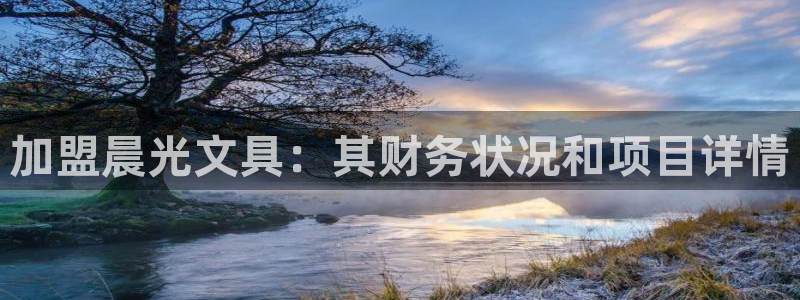 龙八国际苹果版：加盟晨光文具：其财务状况