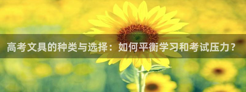 龙八国际娱乐城：高考文具的种类与选择：如