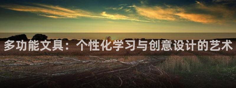 头号玩家龙八国际网址：多功能文具：个性化