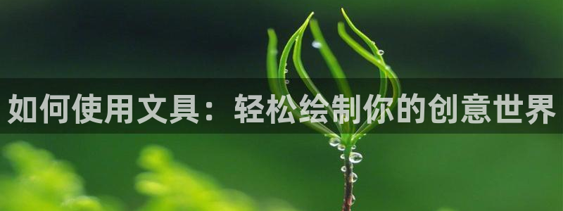龙八国际我要登录：如何使用文具：轻松绘制