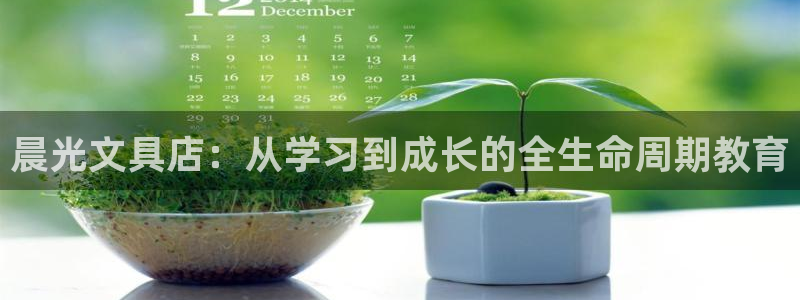 龙八国际贸易有限公司：晨光文具店：从学习