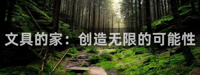 龙八国际官方下载：文具的家：创造无限的可