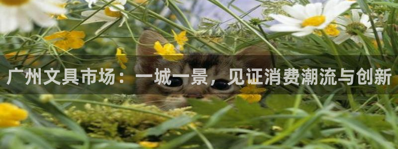 龙八国际娯乐城：广州文具市场：一城一景，