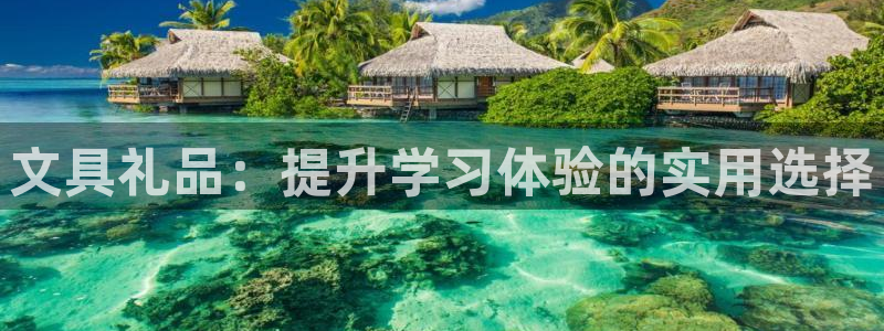 龙八国际l8520：文具礼品：提升学习体