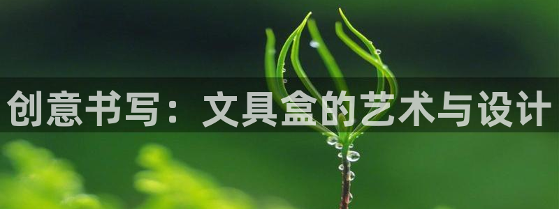 龙八国际安全：创意书写：文具盒的艺术与设