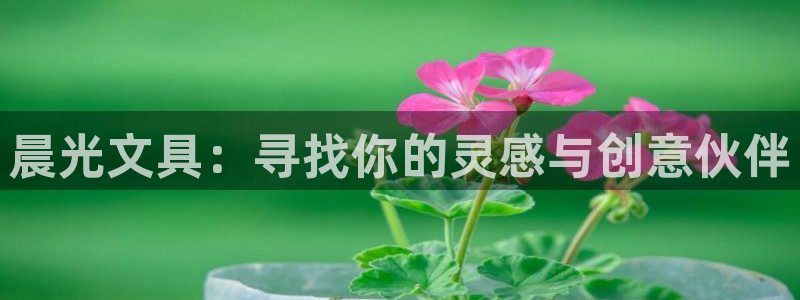 龙八国际提现待审核：晨光文具：寻找你的灵