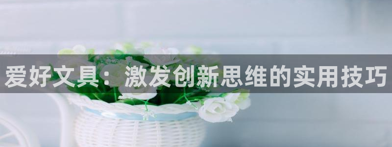 龙八国际手机版下载：爱好文具：激发创新思