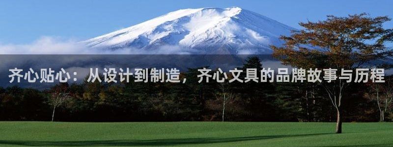 龙八国际登录密码：齐心贴心：从设计到制造