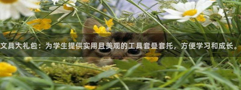 龙八国际官方手游：文具大礼包：为学生提供