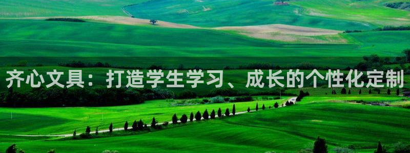 龙八国际2023：齐心文具：打造学生学习