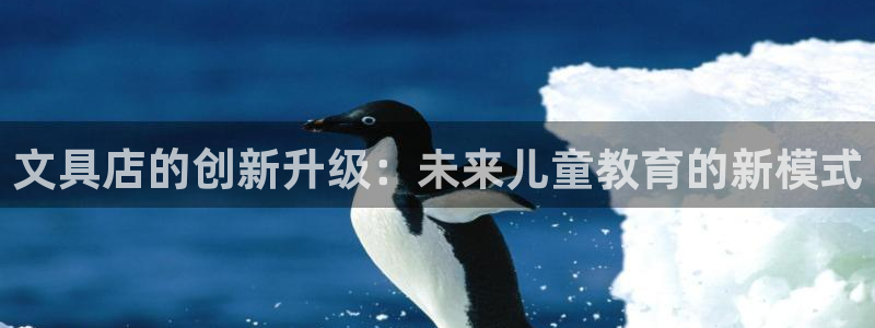 龙八国际app鄂州：文具店的创新升级：未