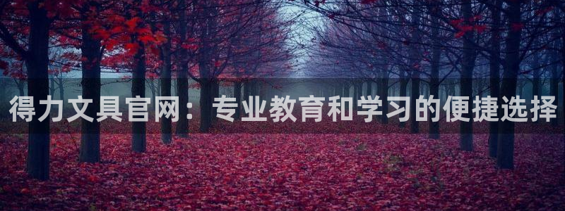 龙八龙八国际：得力文具官网：专业教育和学