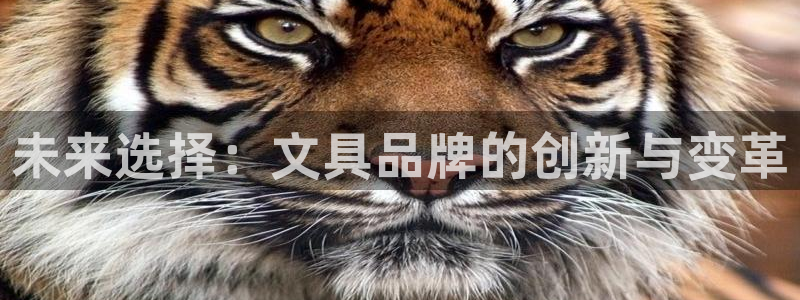 龙八国际app客户端下载手机端：未来选择